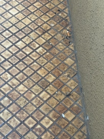 Small deck off broken sliding doors showing cigarette butts in non smoking room