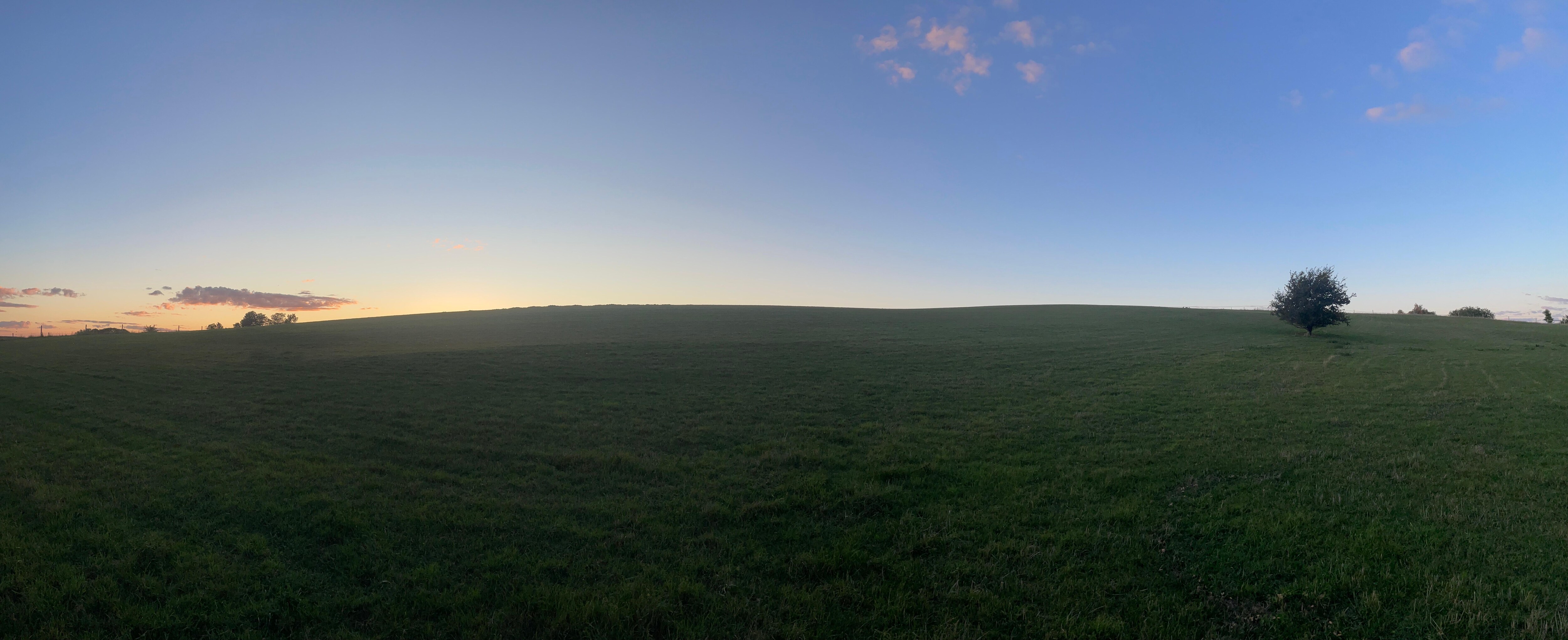 Vi från trädgården