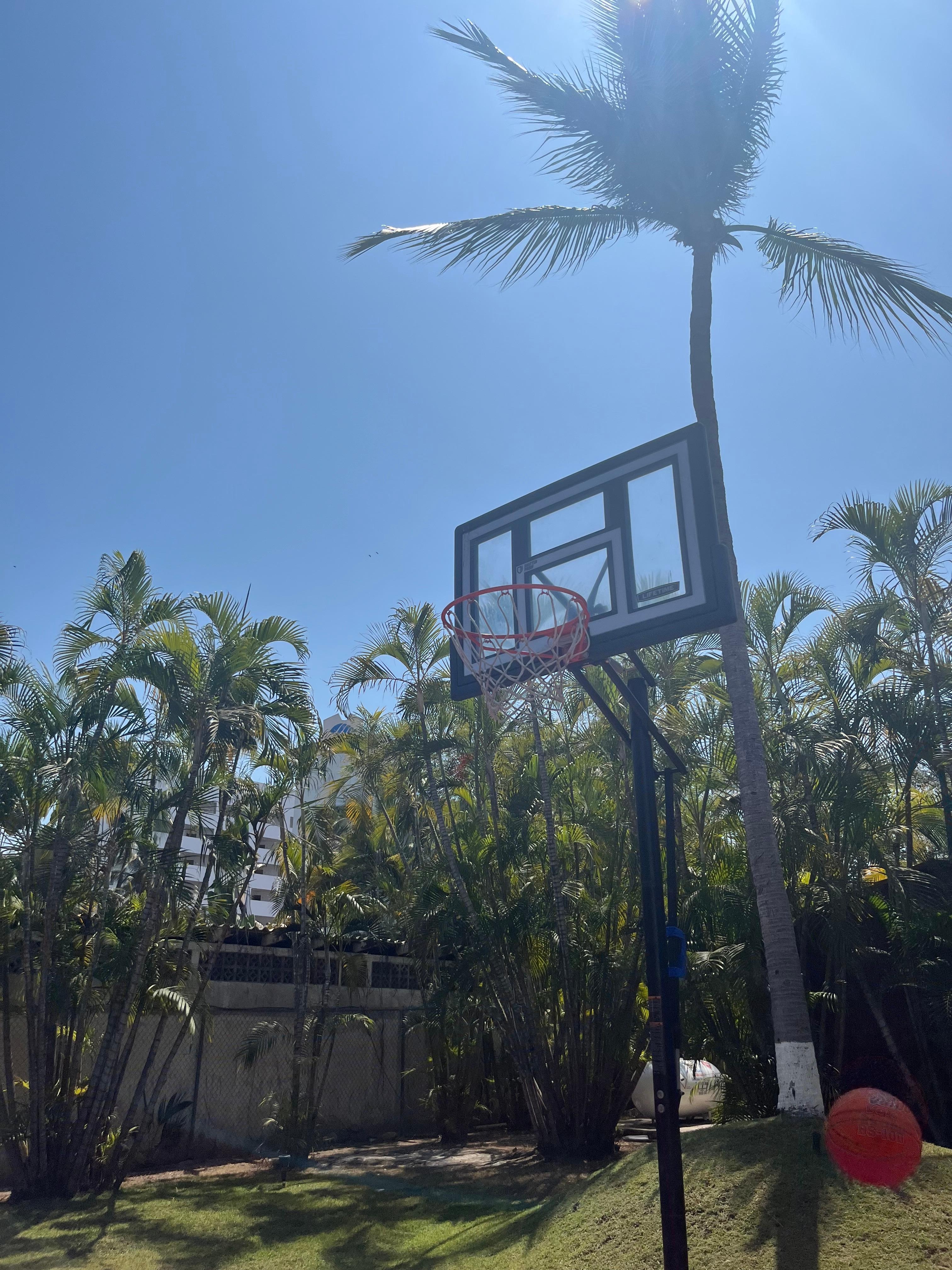 Basketball court