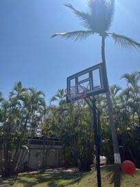 Basketball court