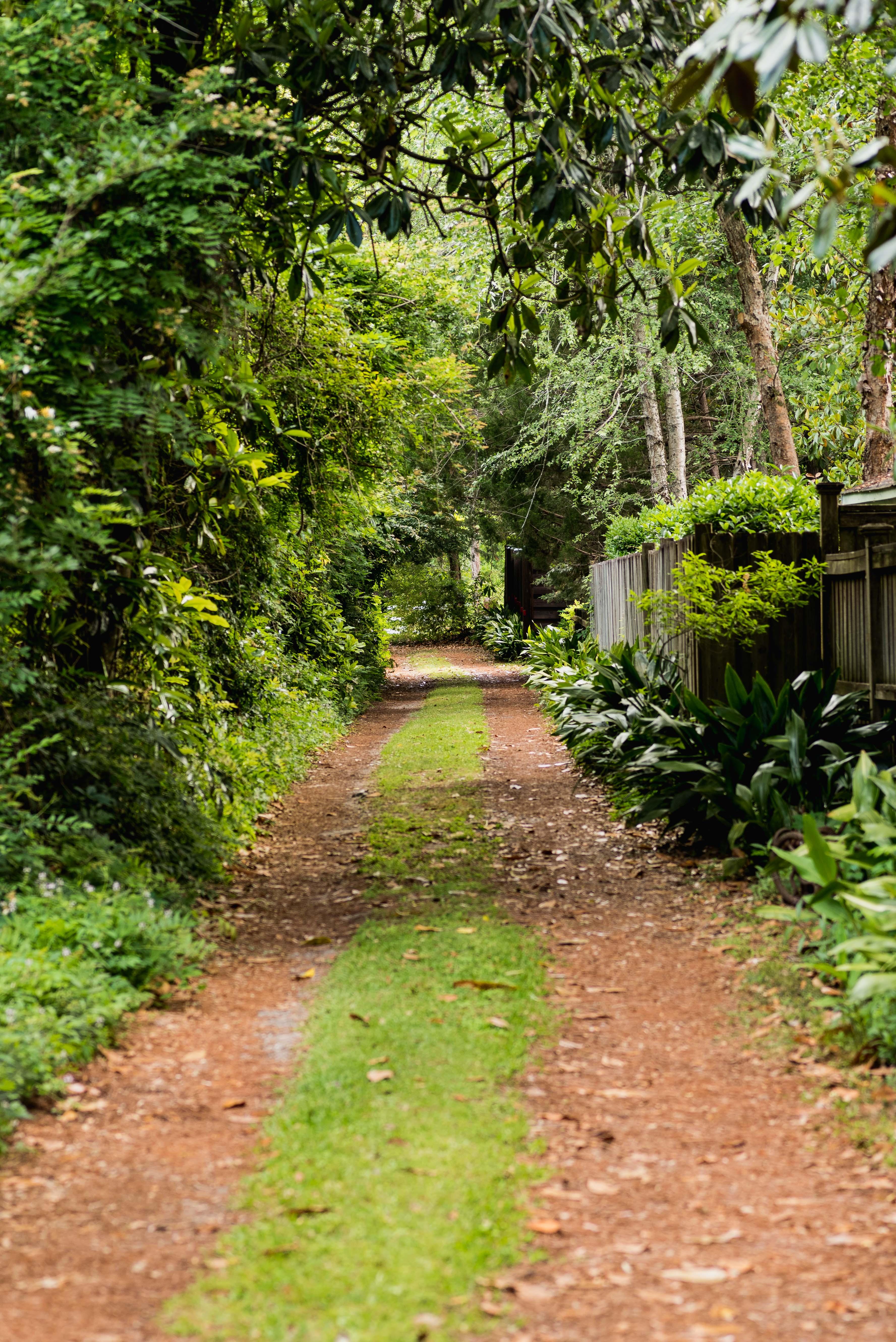 Beautiful long driveway from the street to the Guest House