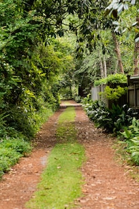 Beautiful long driveway from the street to the Guest House