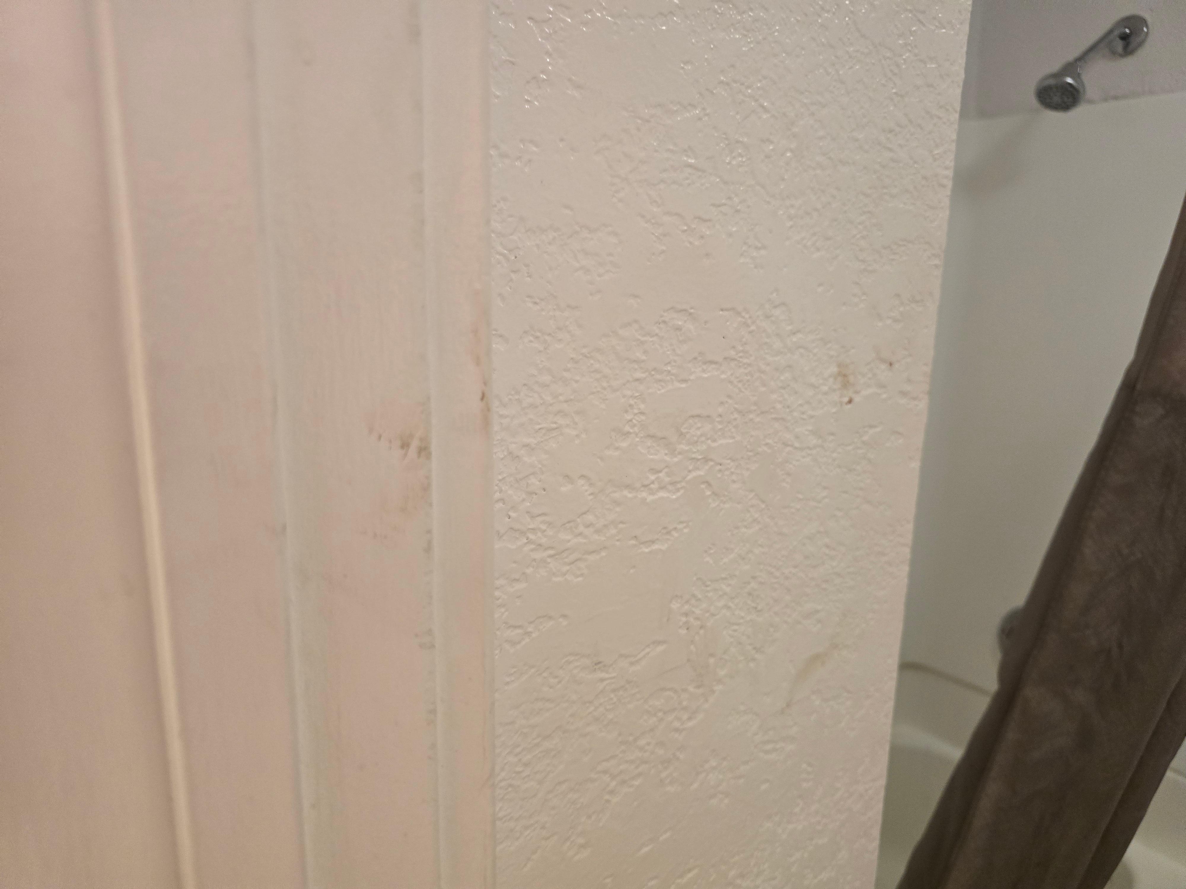 Walls with what appears to be blood. 