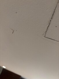 Tote Insekten im Zimmer