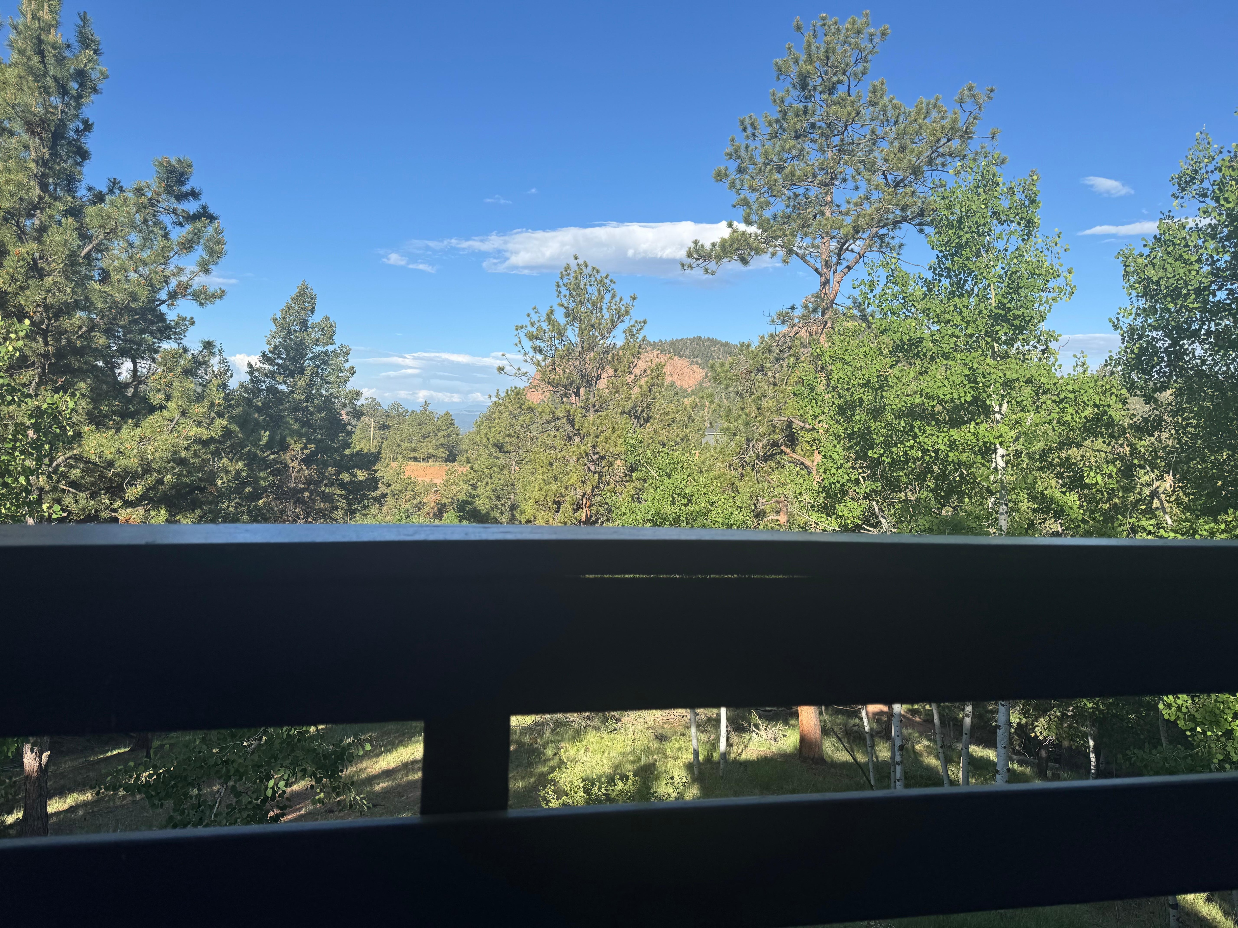 View from the back deck 