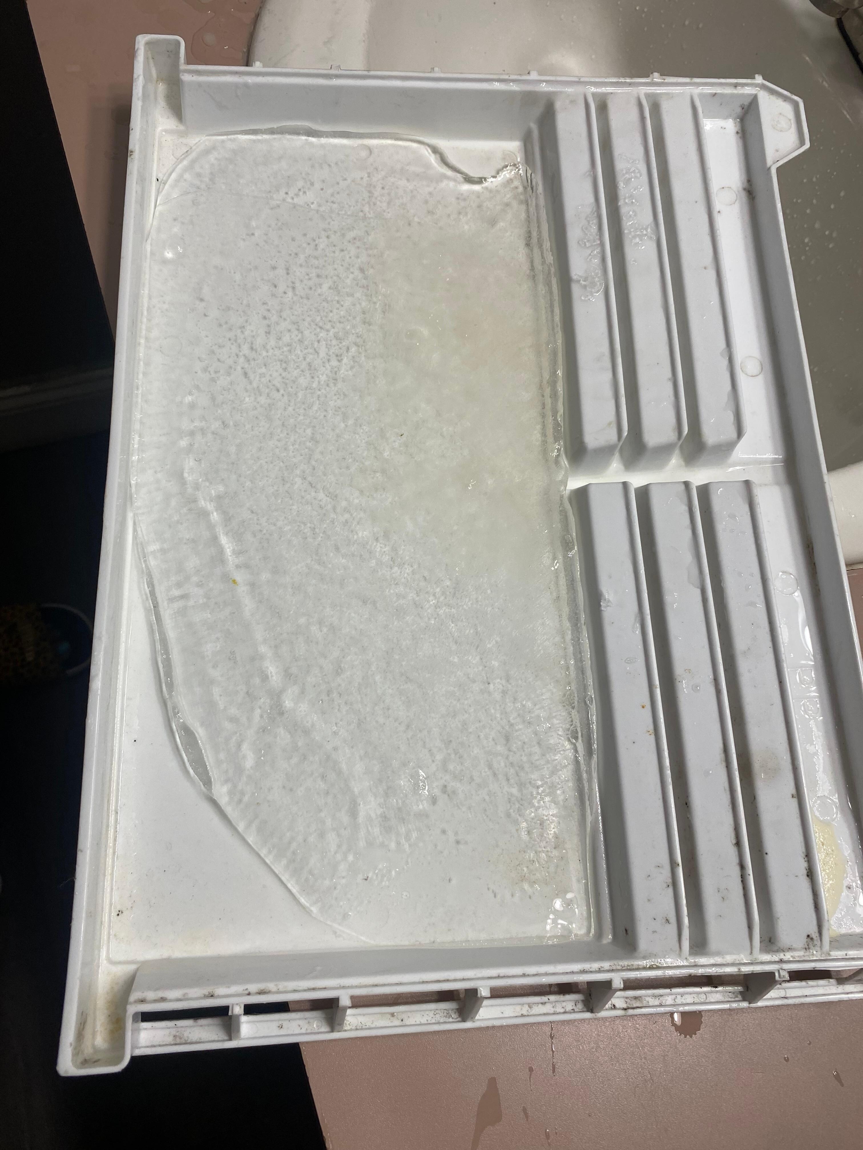 Had to defrost and clean the mold