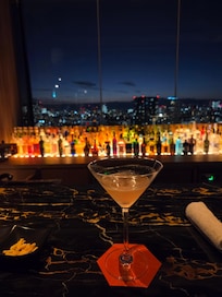 Skylounge bar looking out on tokyo