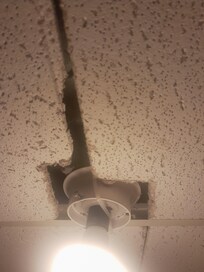 Broken Ceiling tiles, bugs intruding