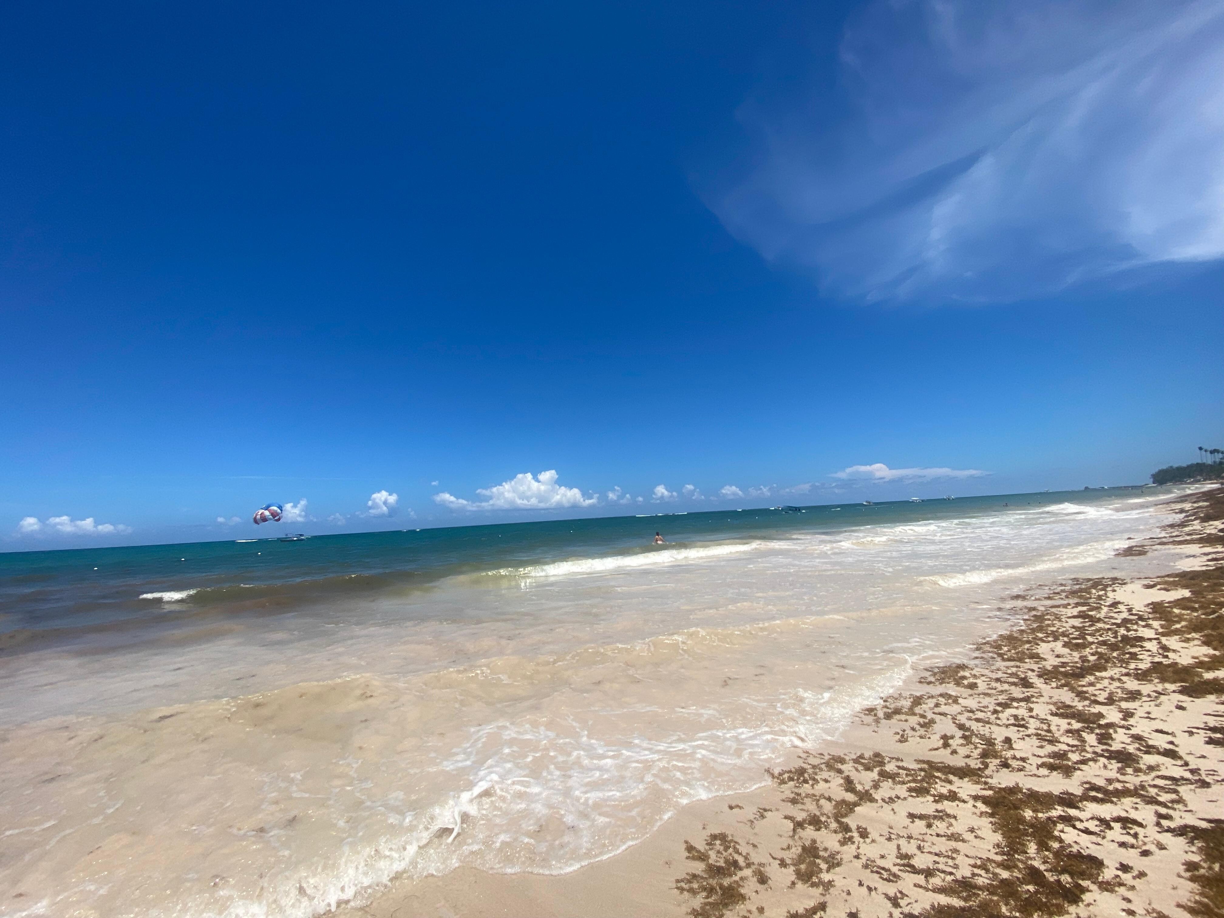 The beach was clean although there was constant seaweed 