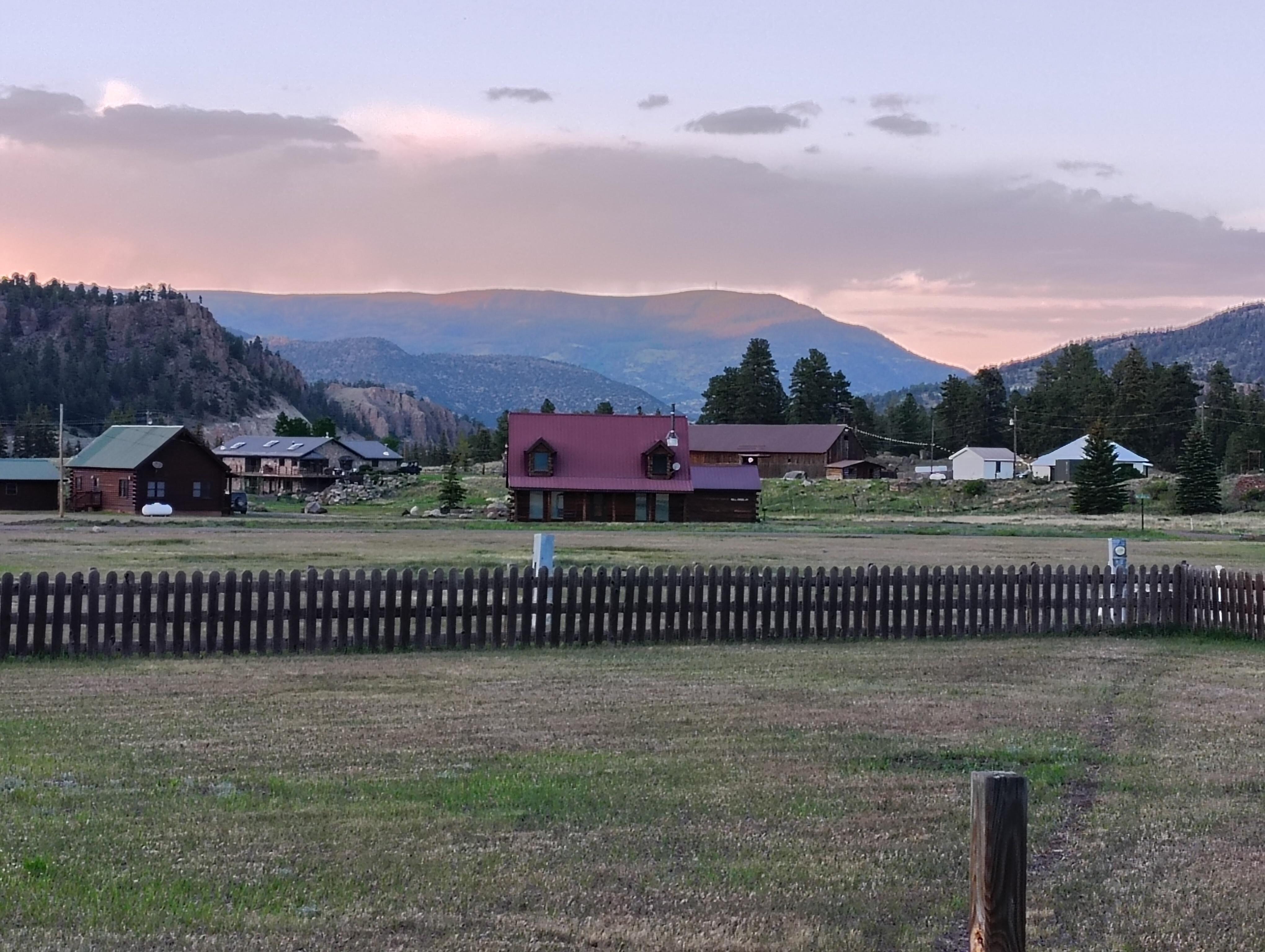 Back yard view