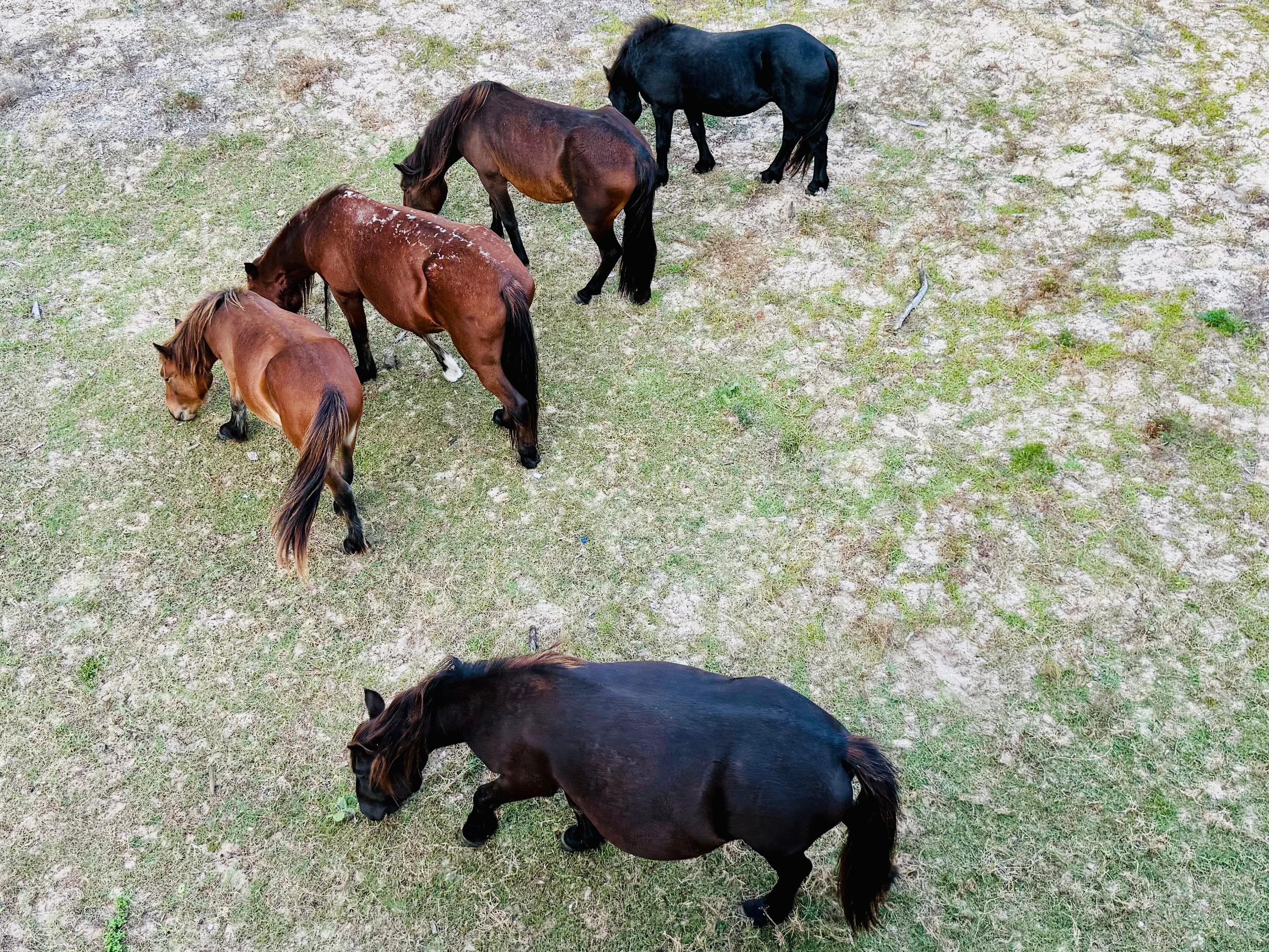 Right outside the house 