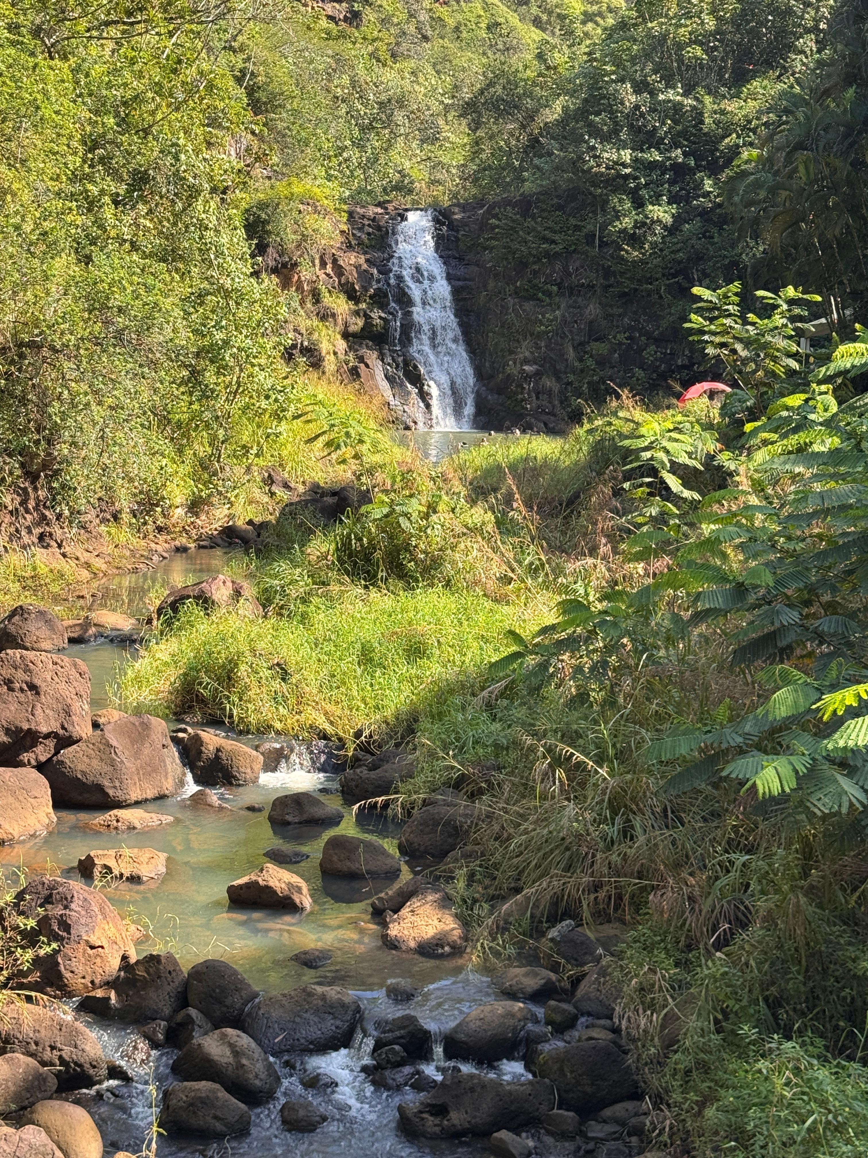 Waimea falls