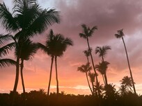 The beach at sunset.