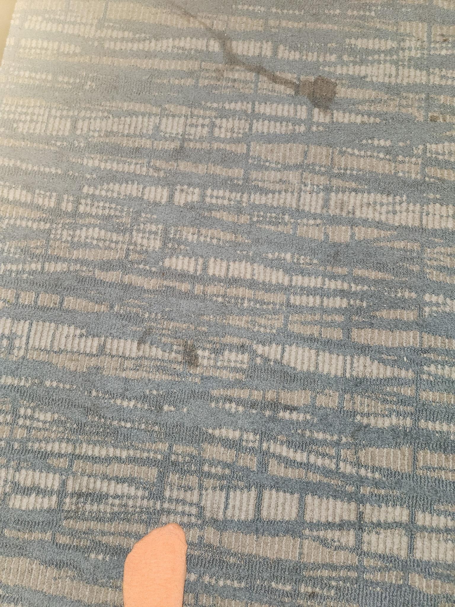 Stains throughout entire room