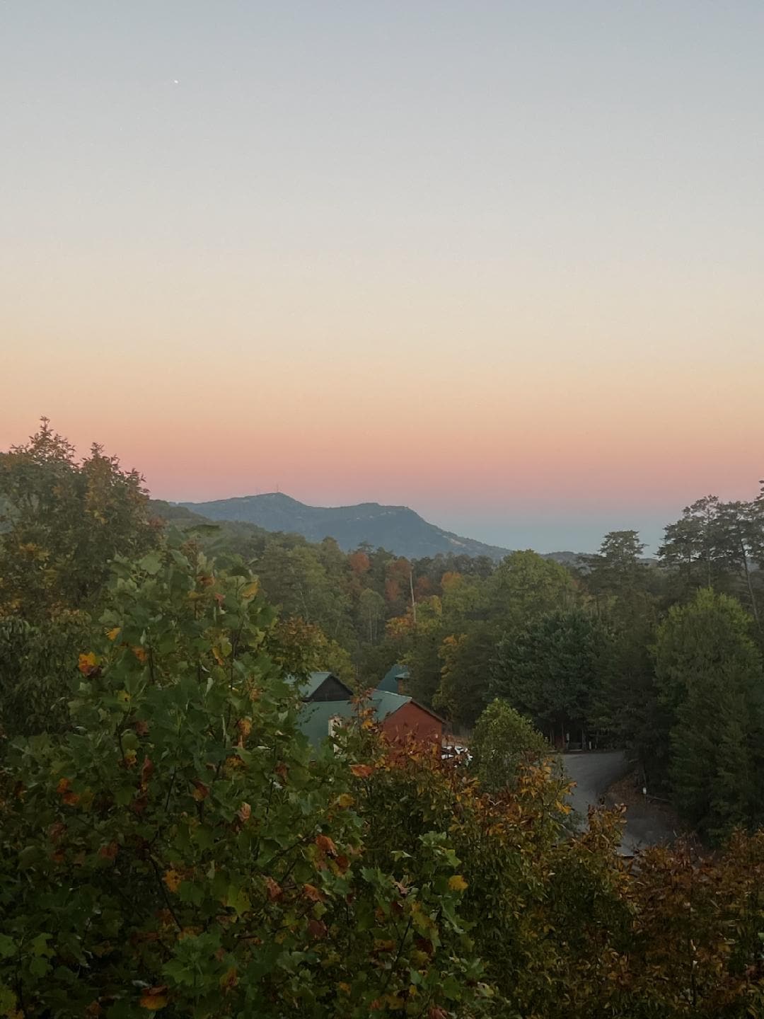 The beautiful morning views where I drank my coffee each morning