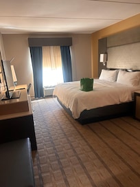 Room have plenty of space comfortable bed