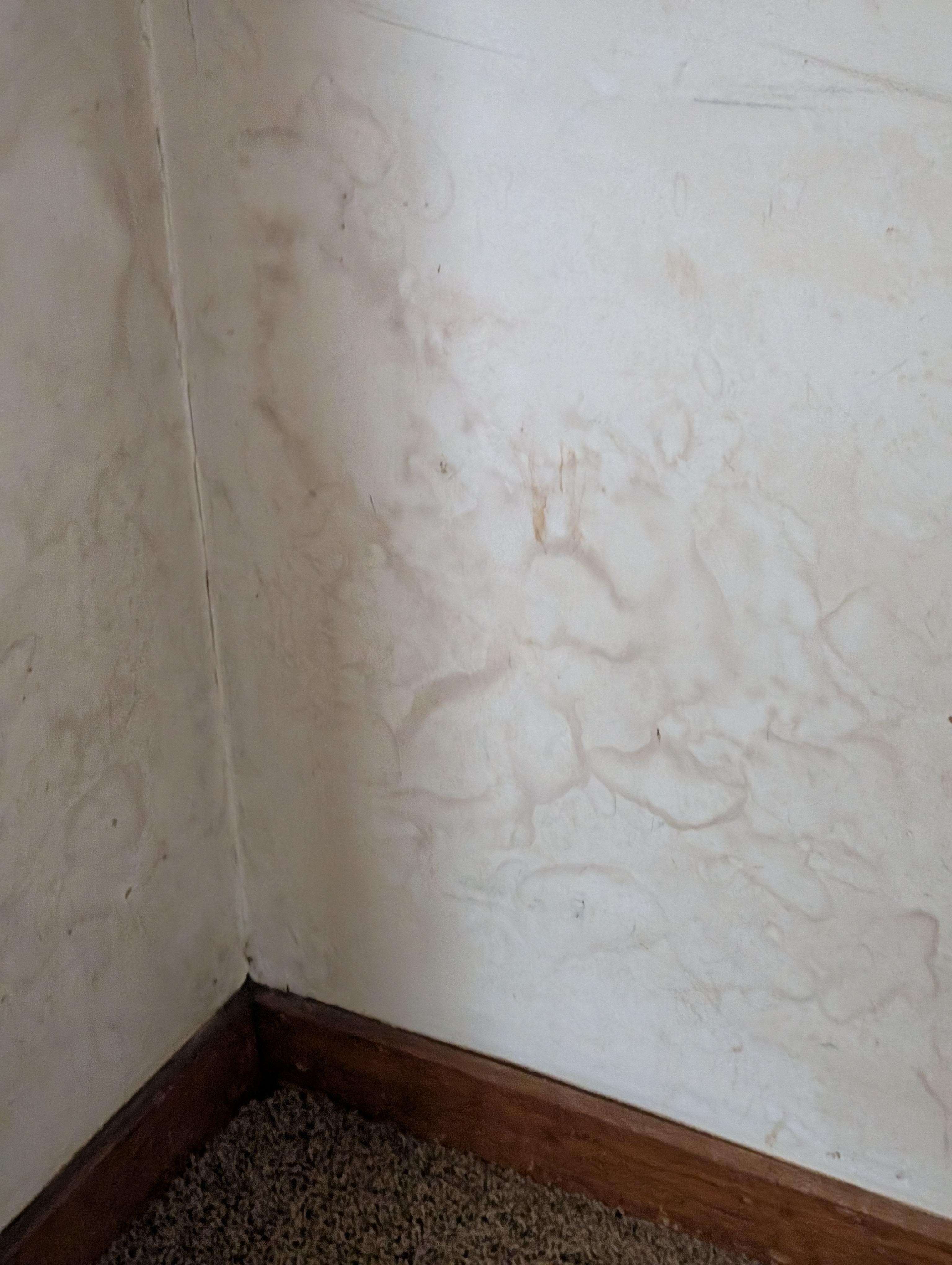 water stained bedroom wall