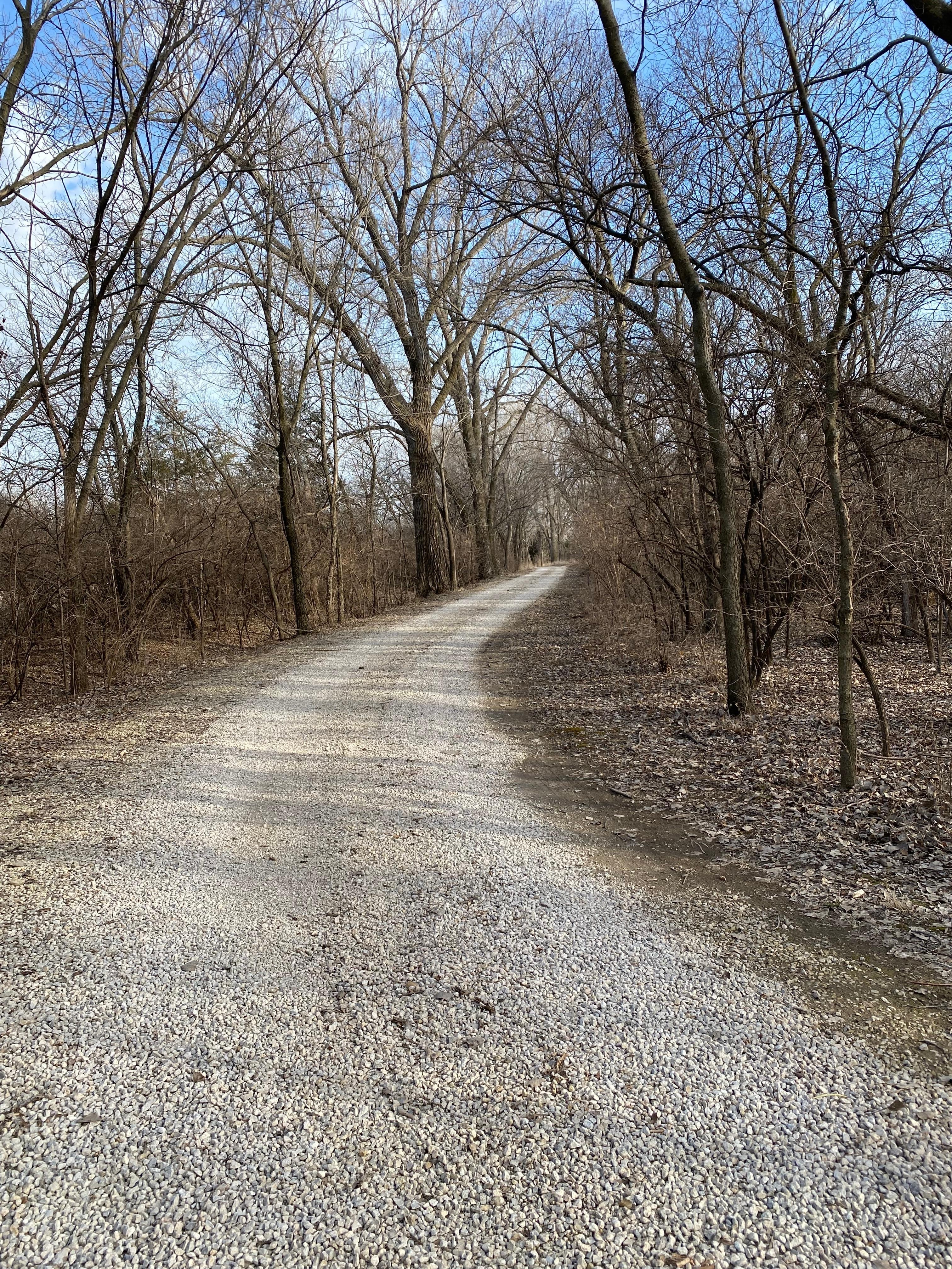 We enjoyed walks on the lane into the property.