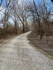 We enjoyed walks on the lane into the property.