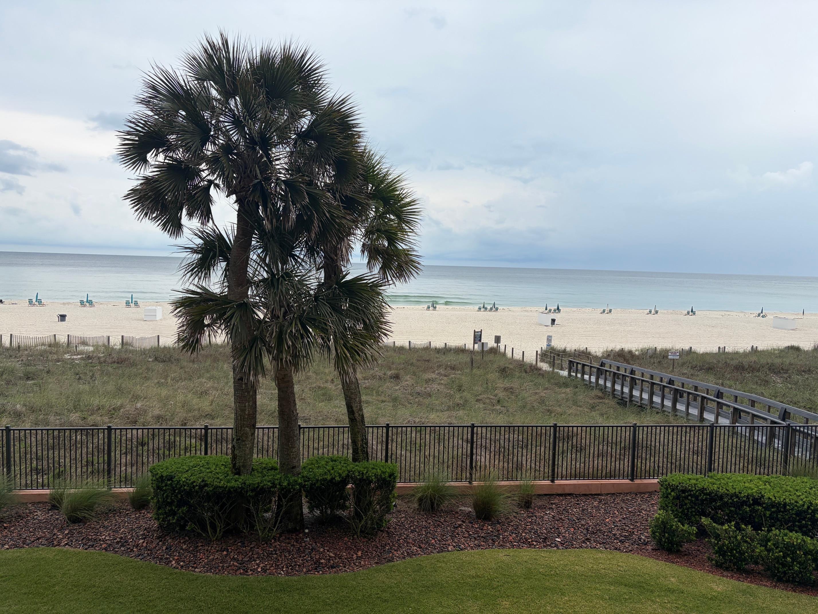 View from Balcony