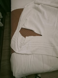 Torn and threadbare towels!