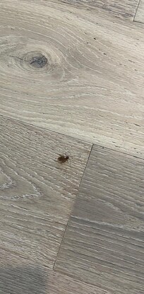 kitchen floor