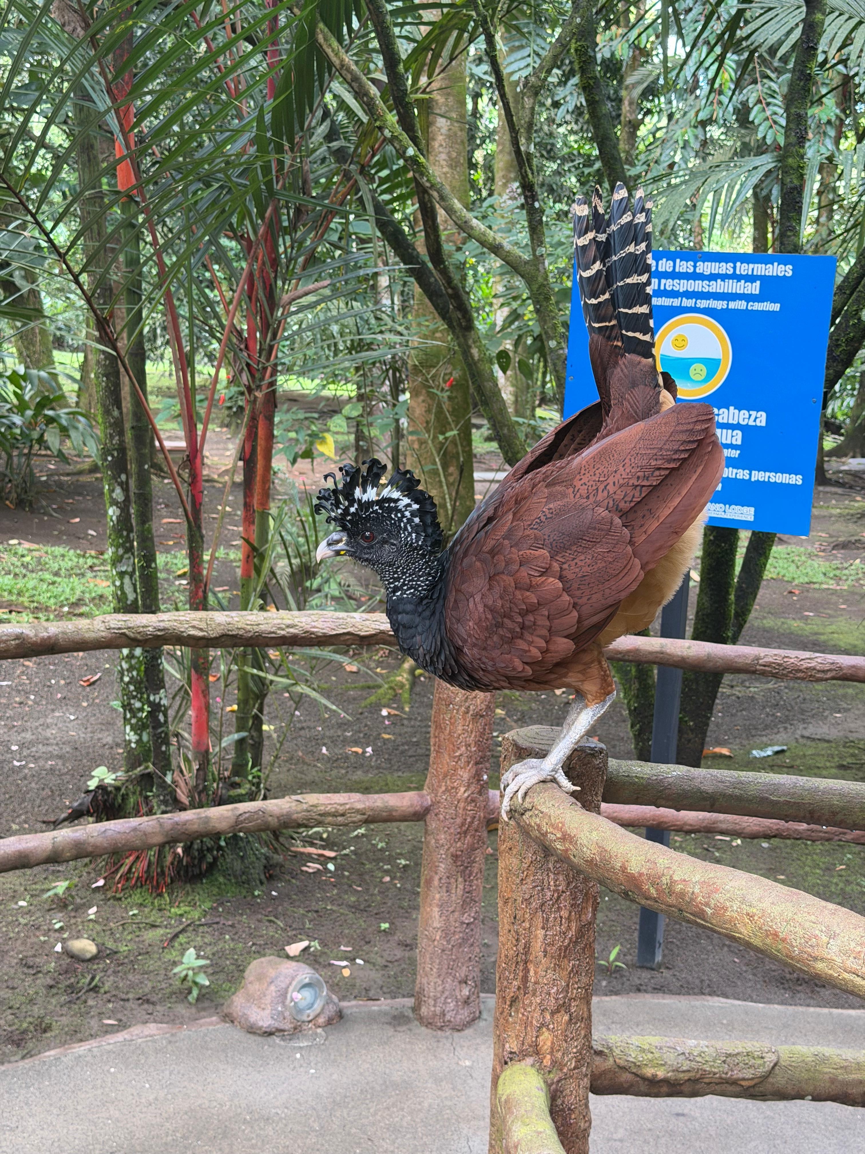 Animals and beautiful gardens 