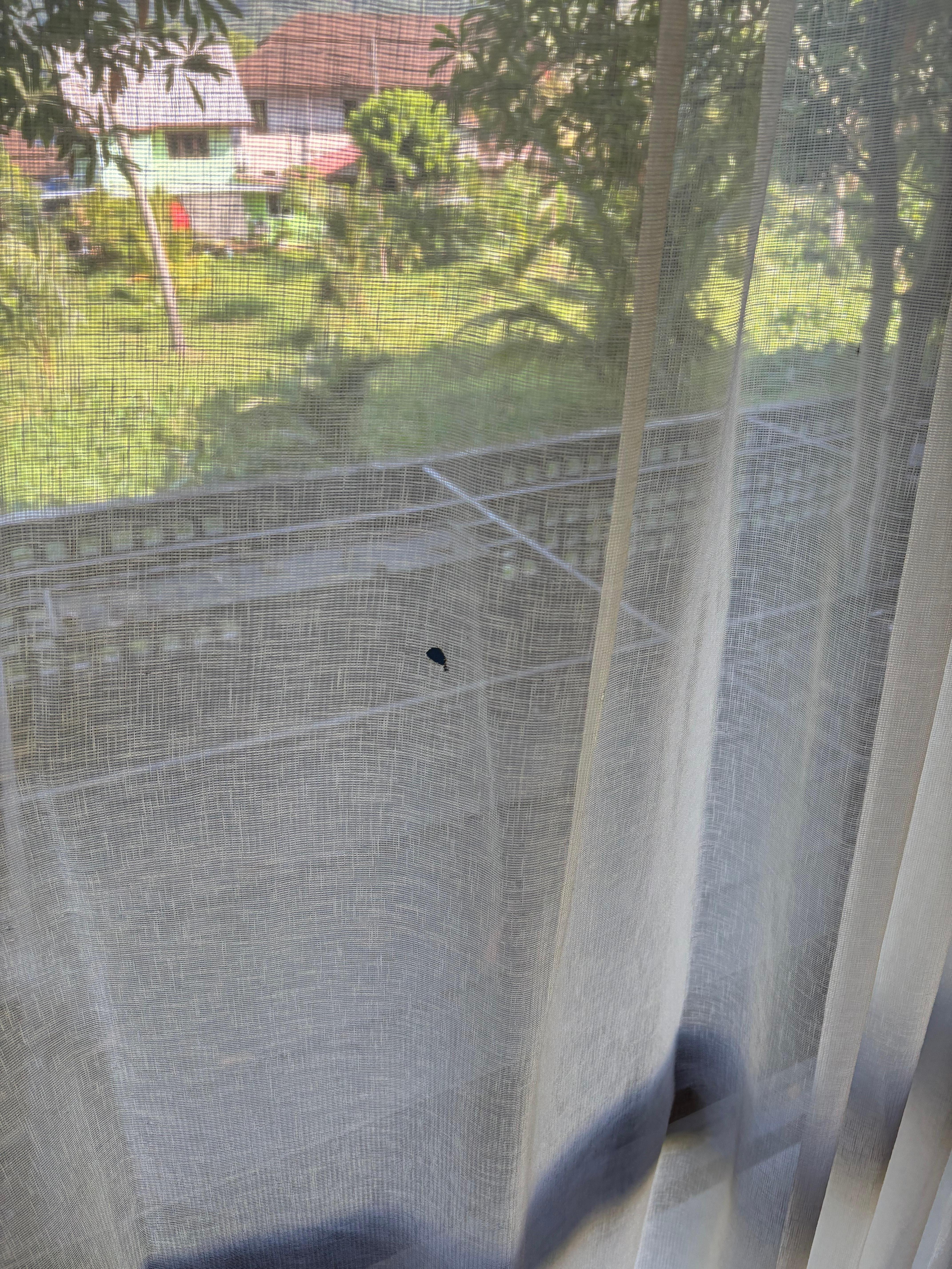 Cigarettes burns in curtain 