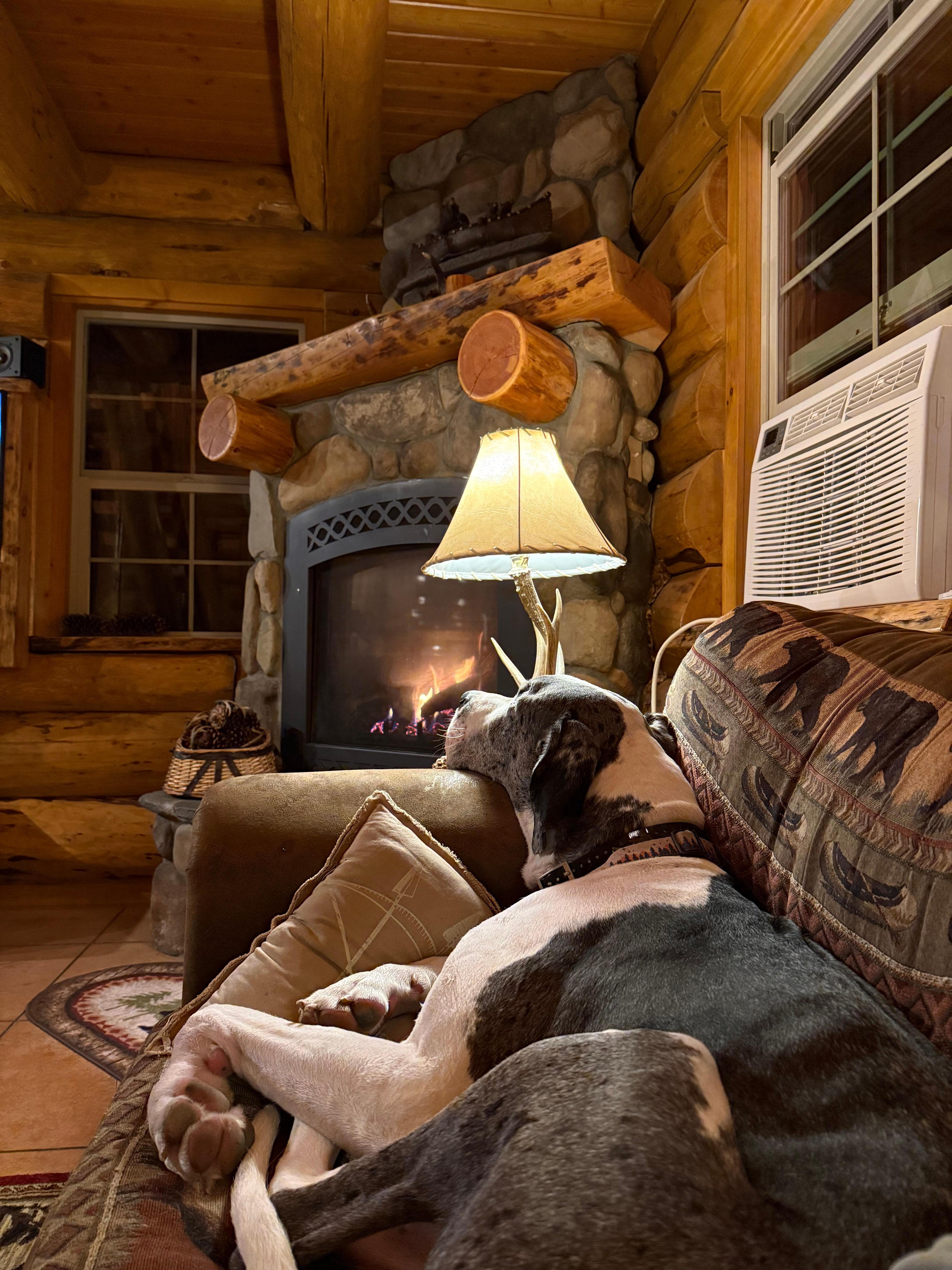 We all enjoyed the fireplace :’)