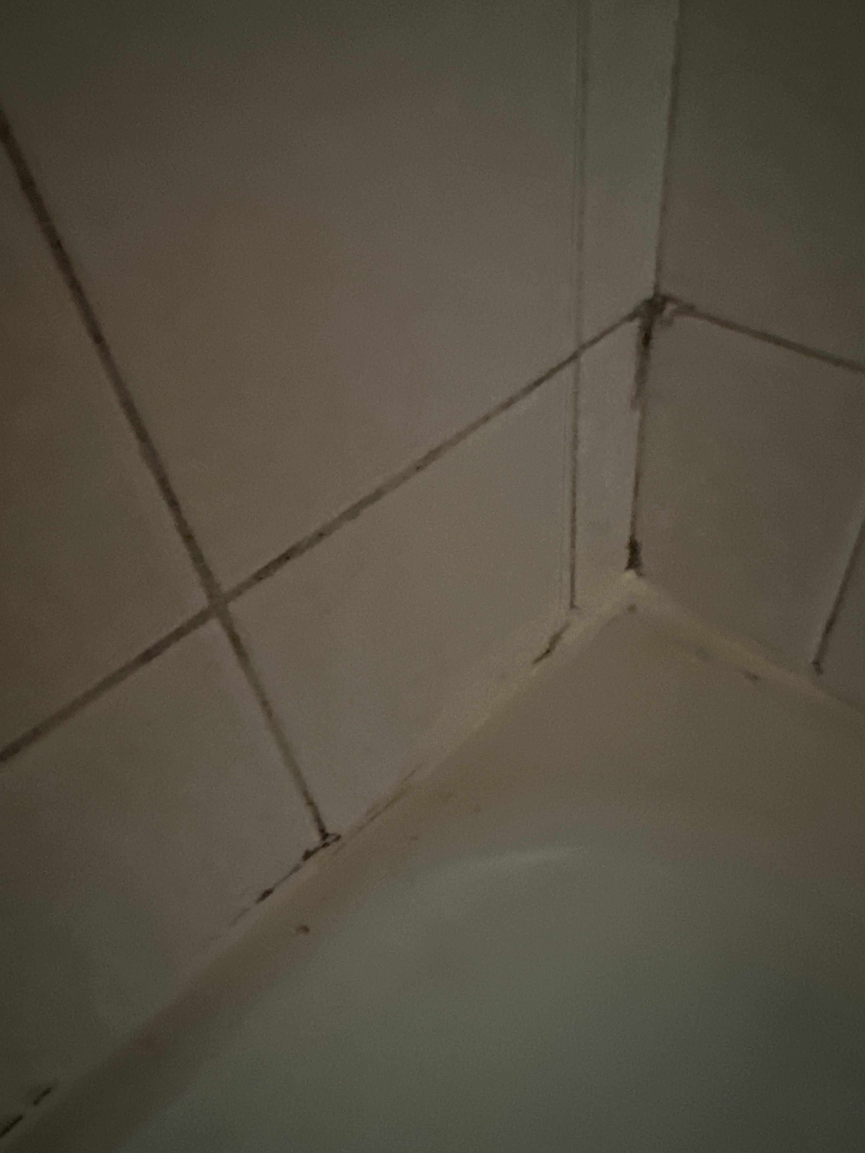 Some bathroom mold. I’ll
