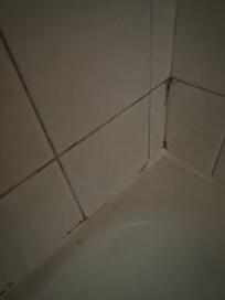 Some bathroom mold. I’ll