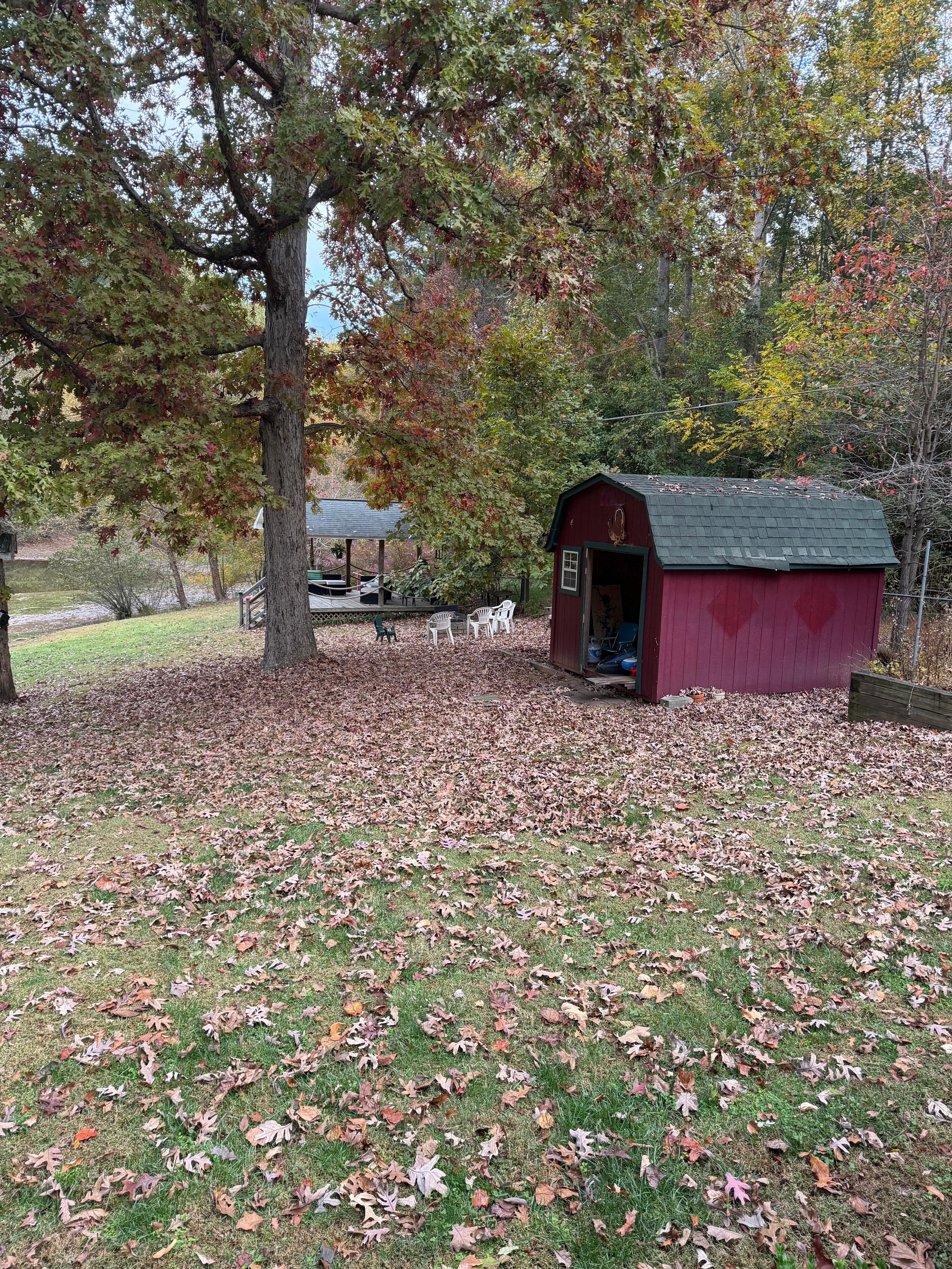 Looking at the storage shed and gazebo from back porch