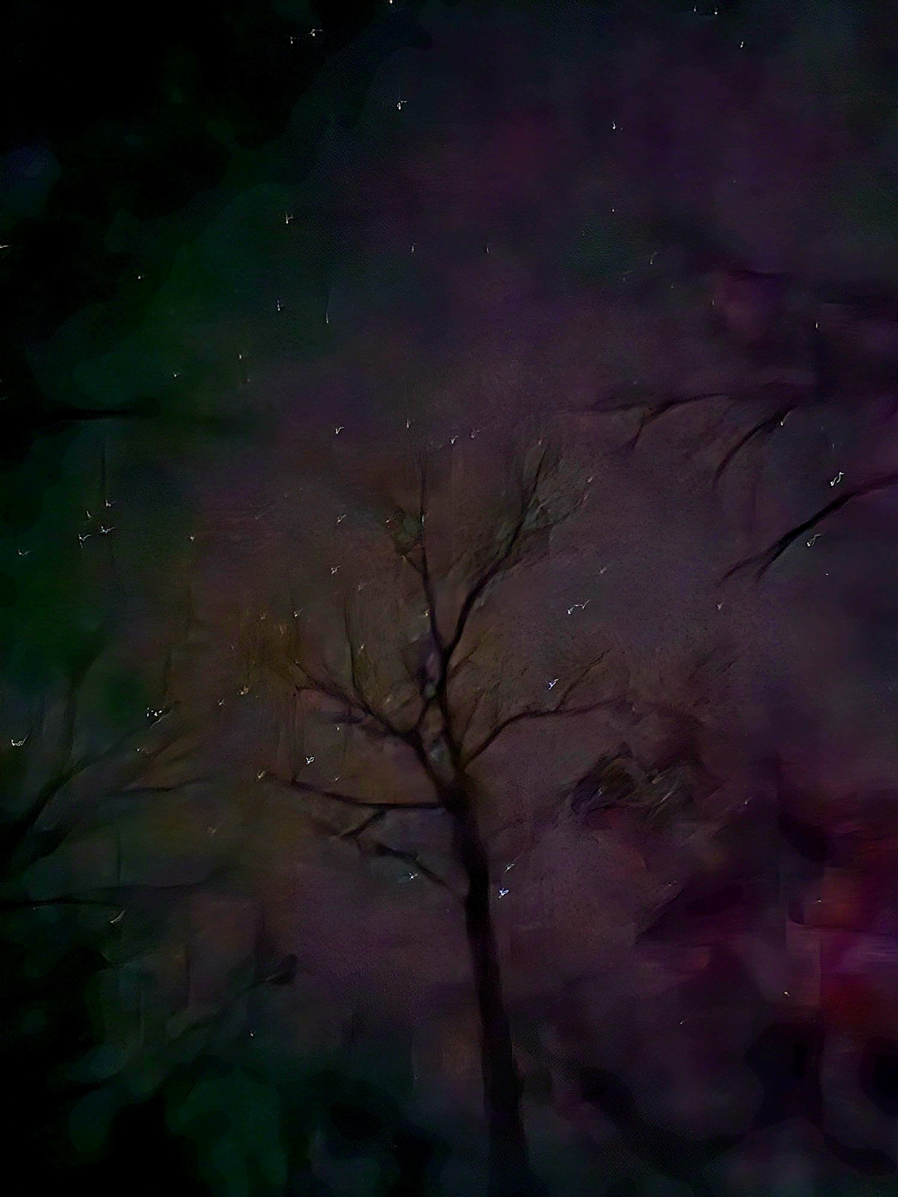 View of the sky and stars from the hot tub!
