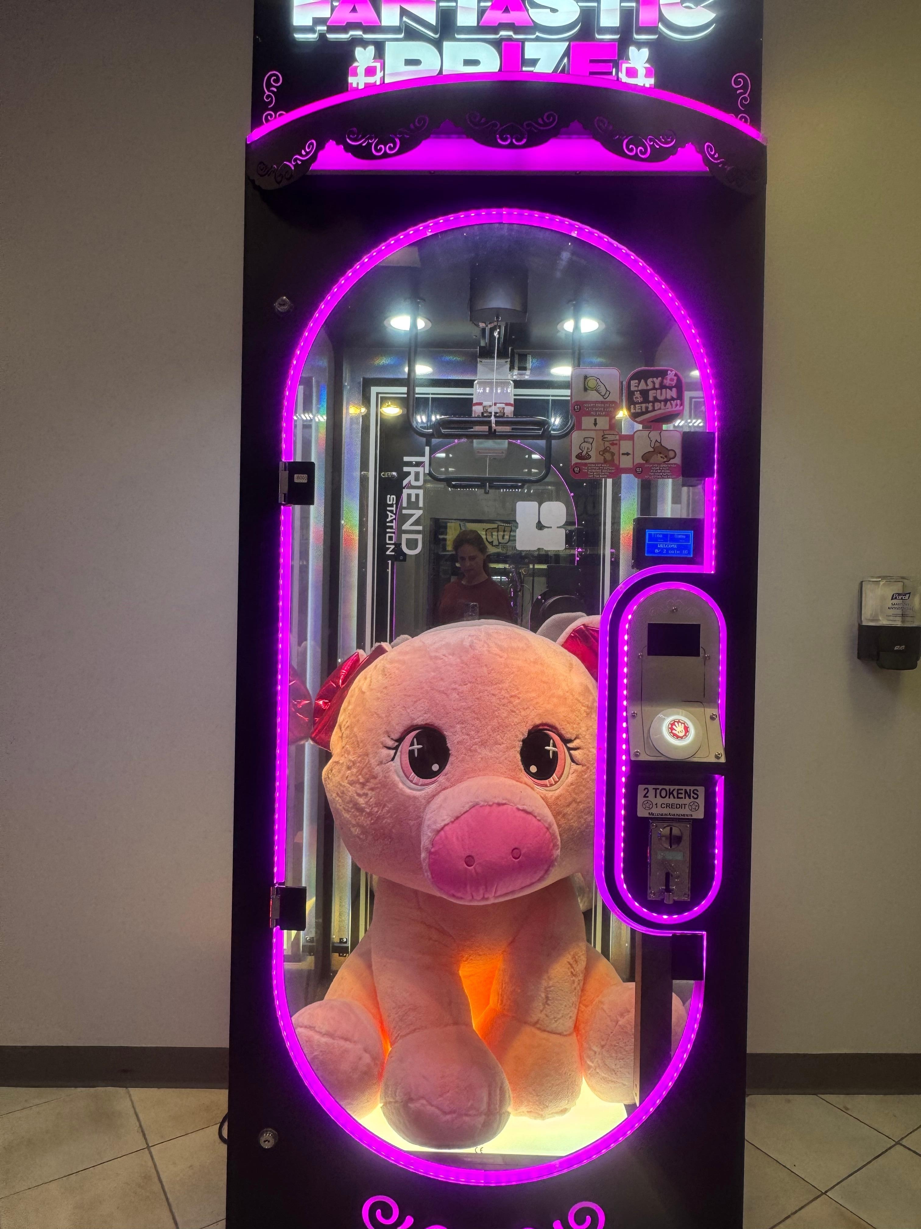 Poor piggie looking for a winner to take him home. 