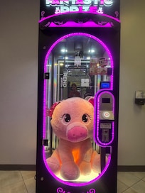 Poor piggie looking for a winner to take him home.