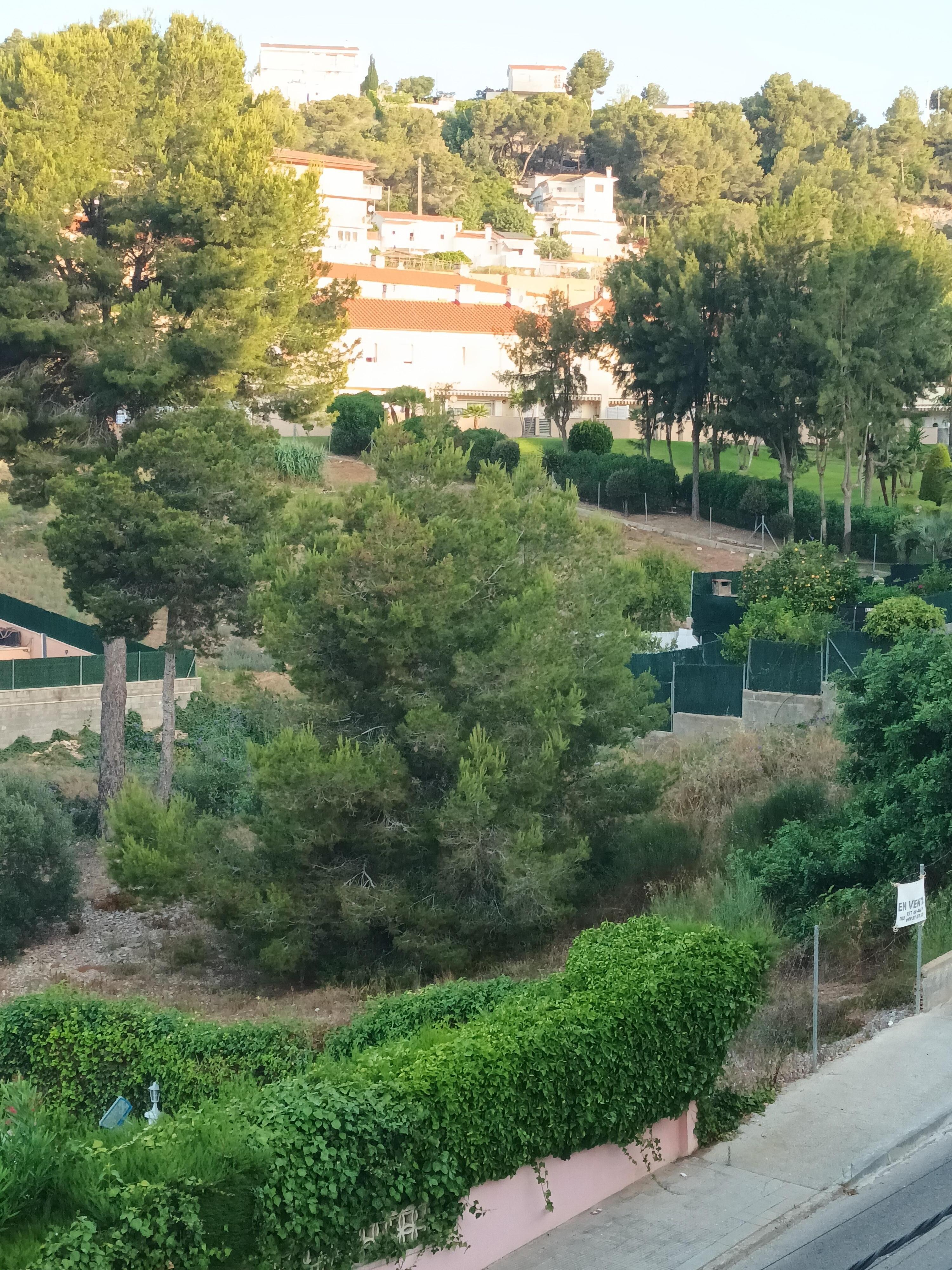 View from the villa