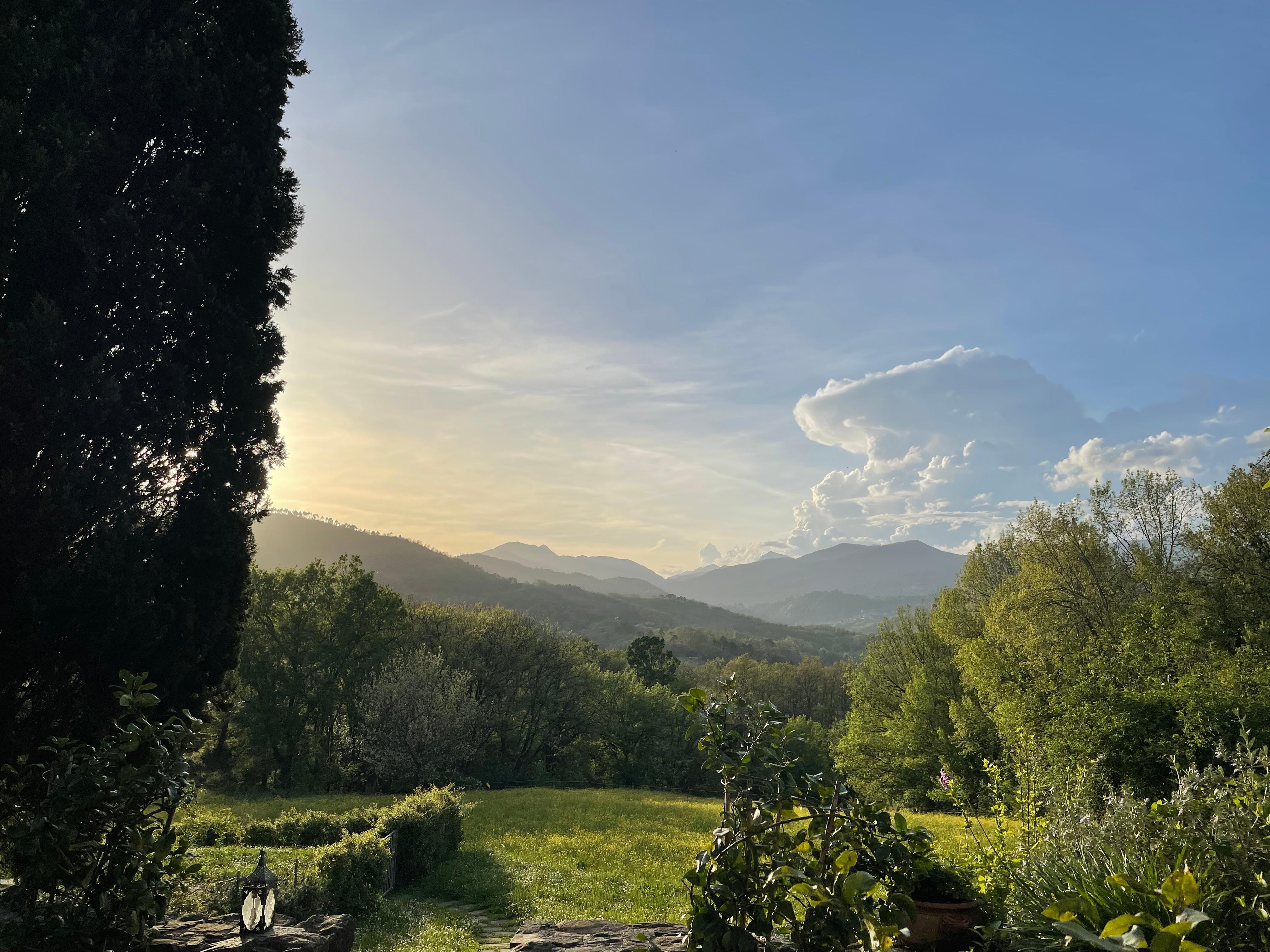 Ausblick von der Terrasse 