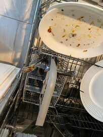 Dishwasher had not been run. Mold on items in dishwasher