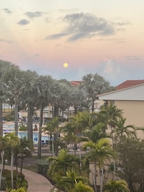Full moon