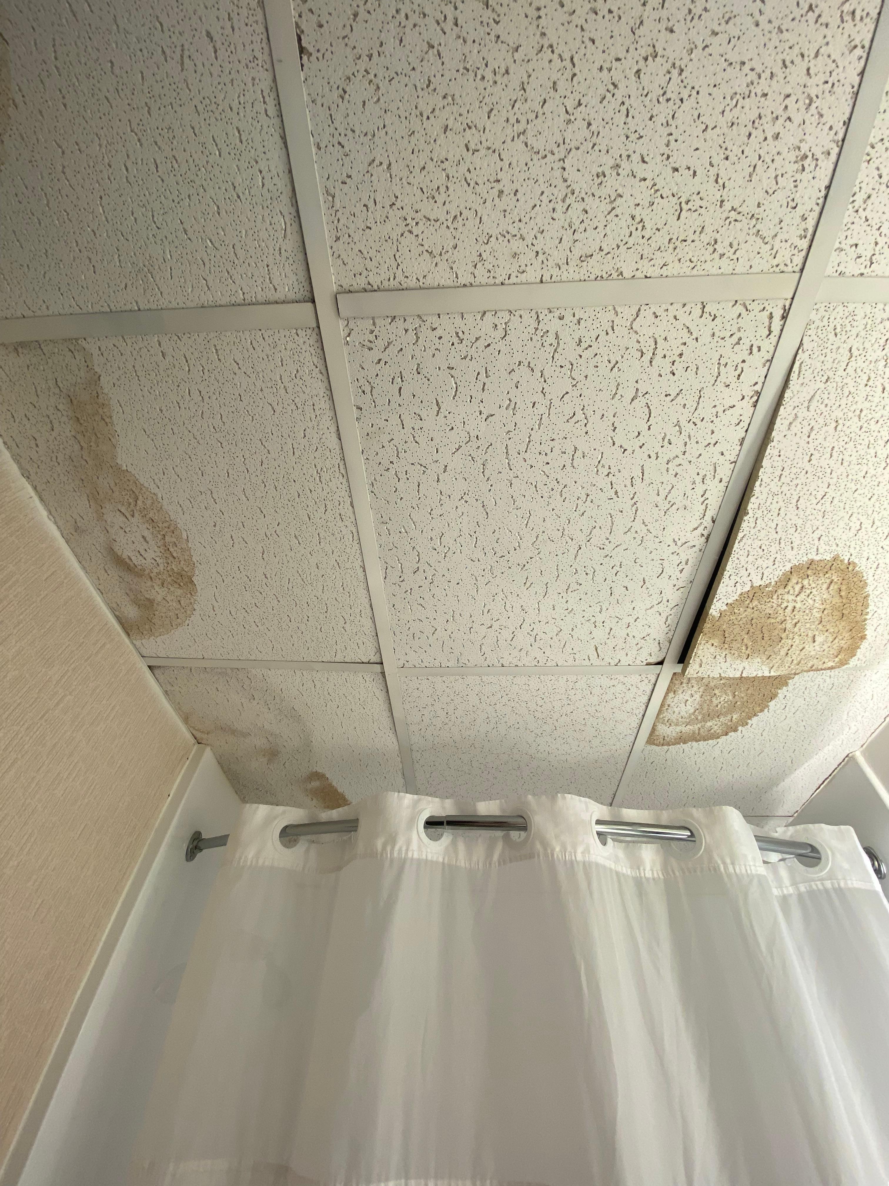 Water damaged ceiling
