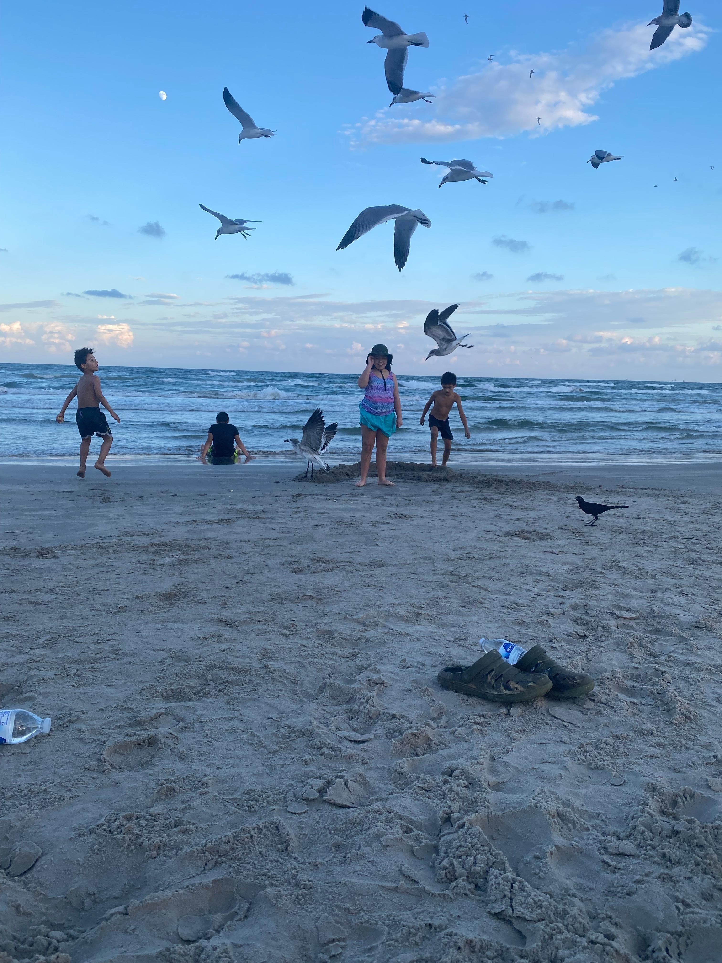 Sunset at Whitecap  Beach.