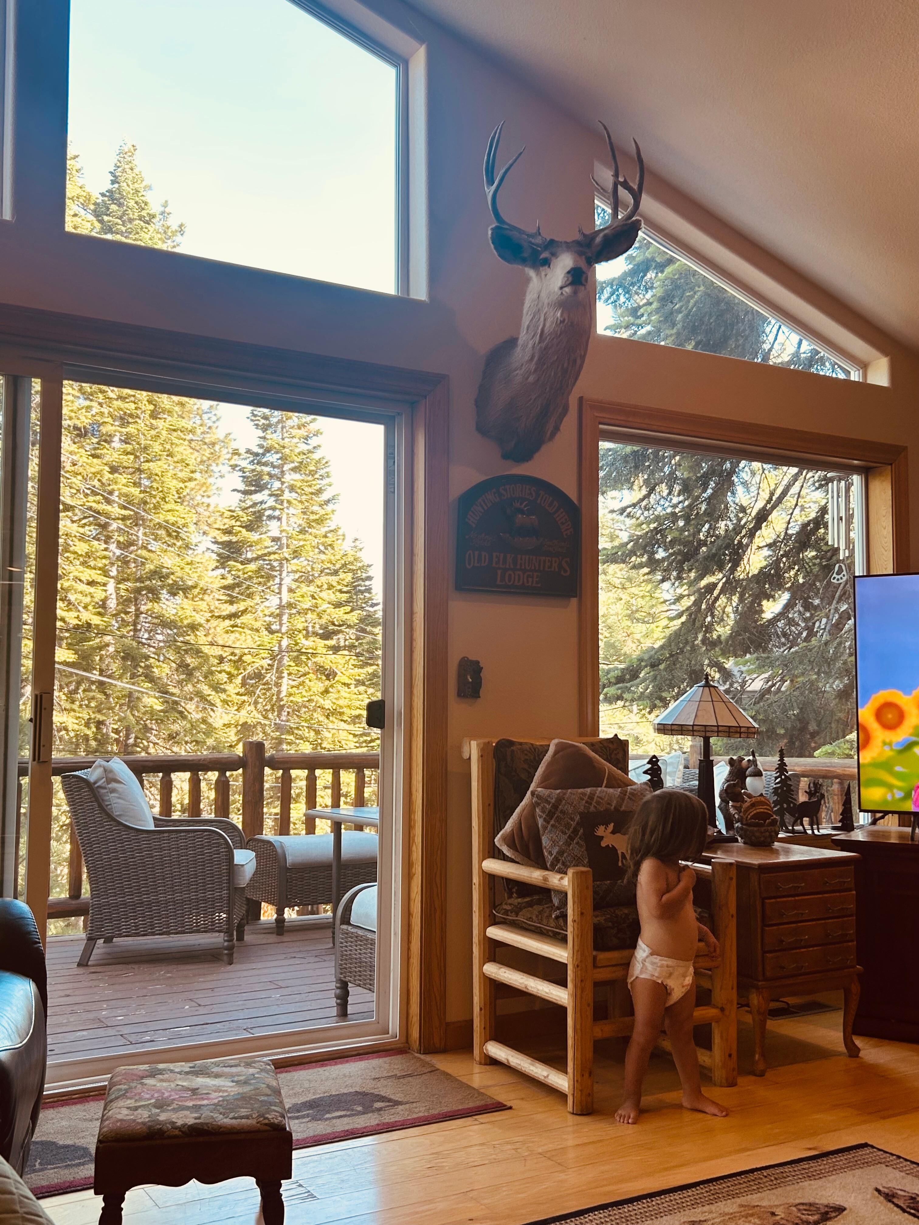 Front deck was a hit! 