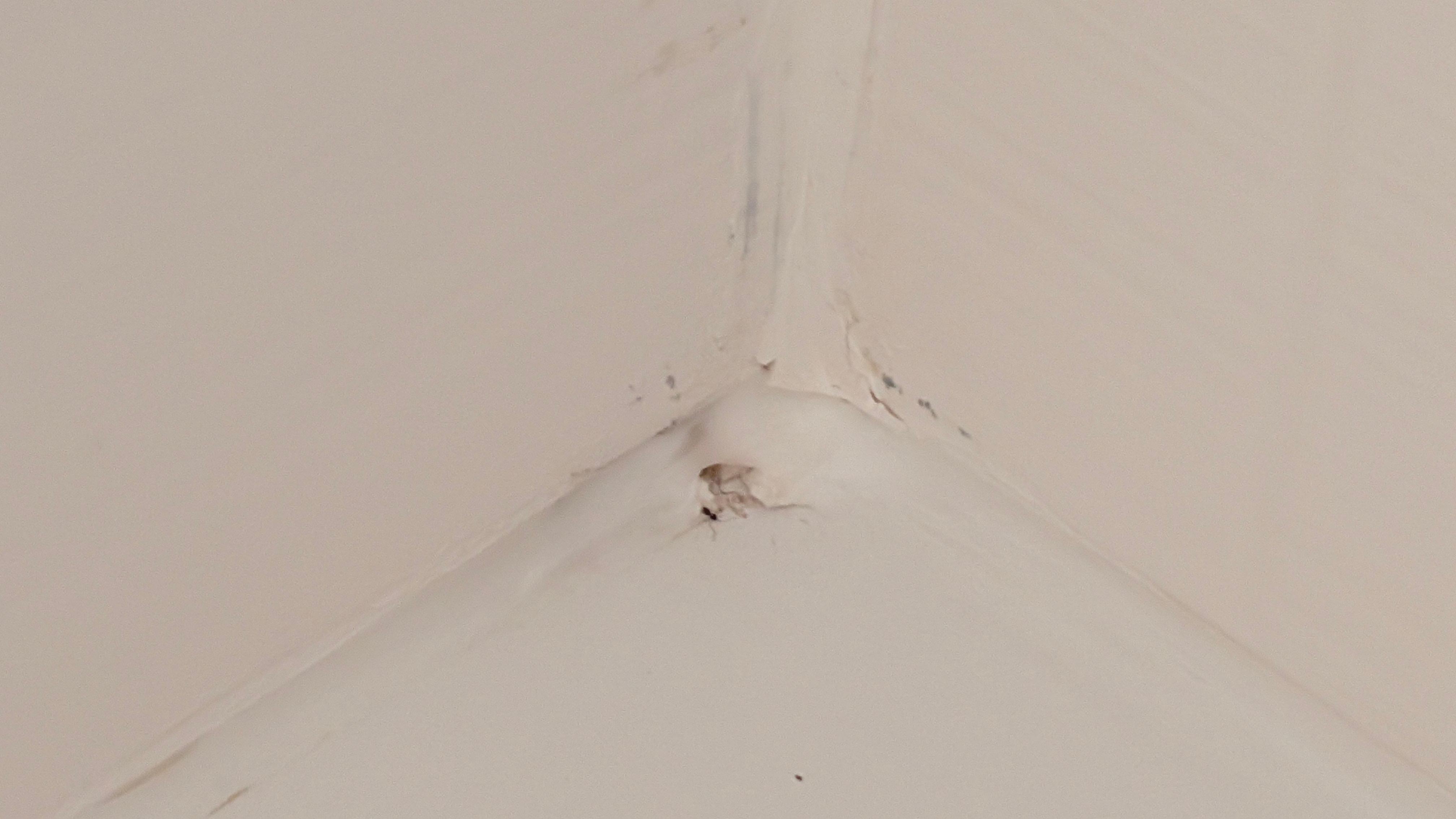 Mold