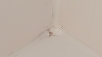 Mold