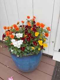 Flowers at the side entrance