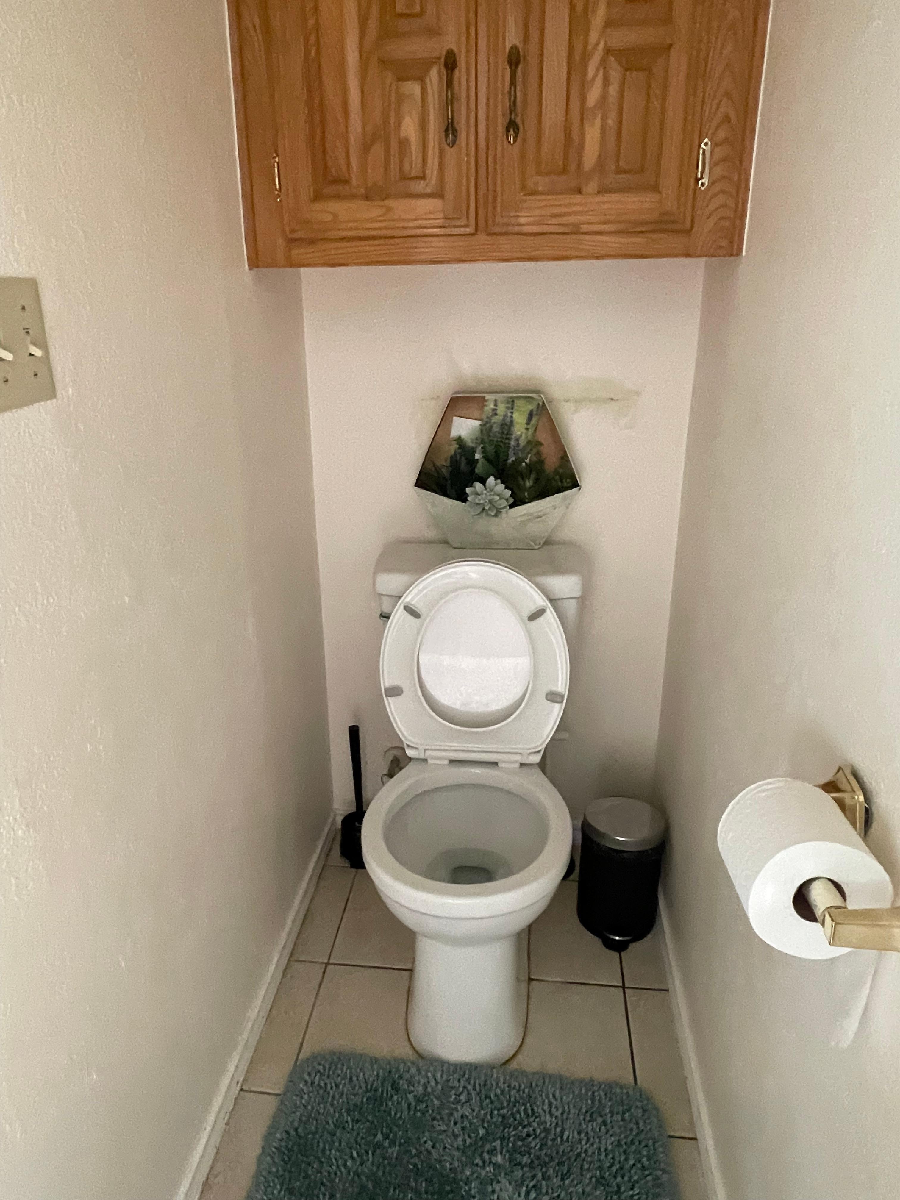 Found the toilet seat like this 
