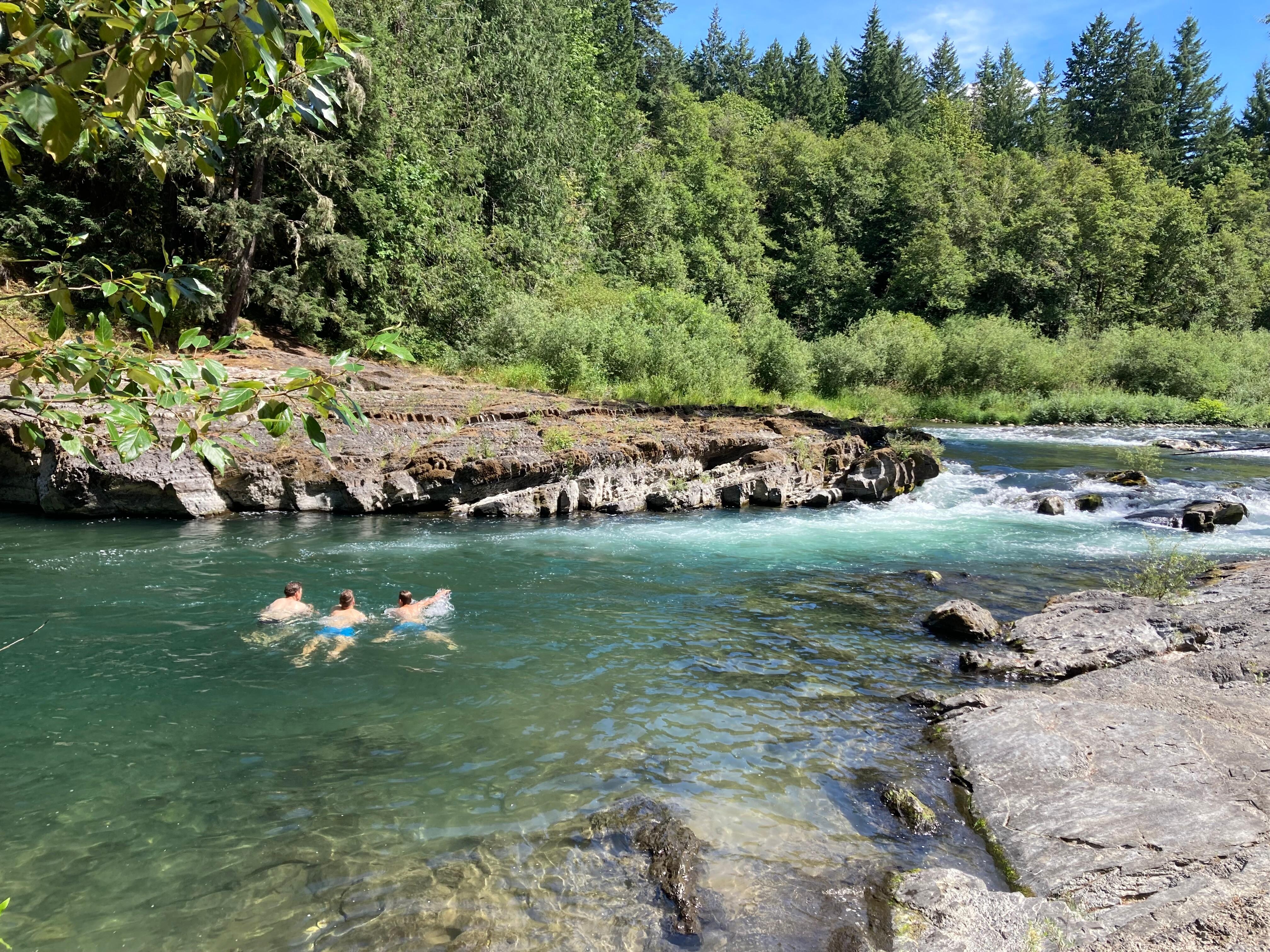 Abkühlung im Cowichan River