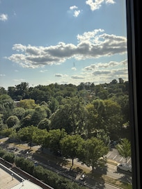 Favorite Views