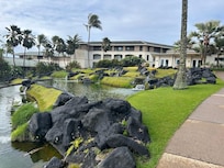 There are gorgeous terraced ponds on the property.