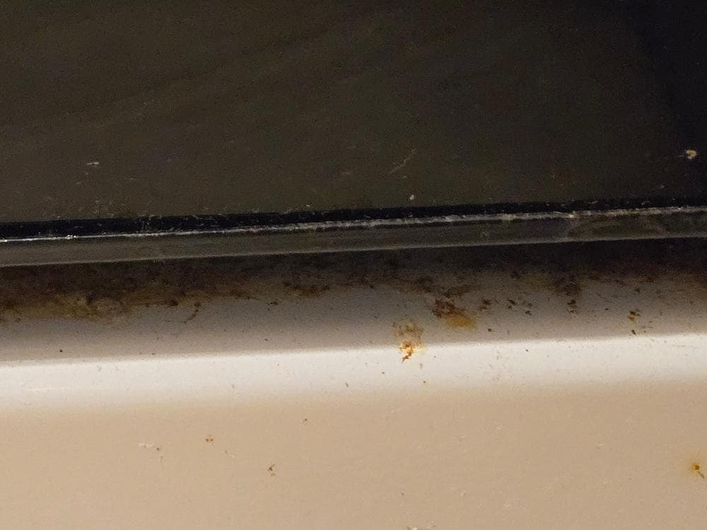 Food on oven, food was also on kitchen walls